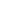statIcon